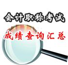 2013年會(huì)計(jì)職稱考試成績查詢時(shí)間及入口匯總