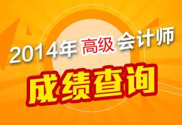 高級會計師成績查詢時間