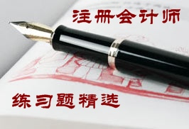 注冊(cè)會(huì)計(jì)師練習(xí)題精選