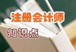 注冊會計(jì)師會計(jì)知識點(diǎn)