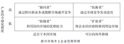 新興市場的企業(yè)戰(zhàn)略