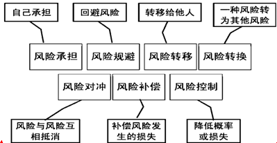 注冊會計師公司戰(zhàn)略與風險管理考點