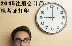 2015注冊會計師準(zhǔn)考證打印