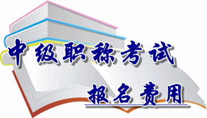 廣西省2016年中級(jí)會(huì)計(jì)職稱(chēng)考試報(bào)名費(fèi)用