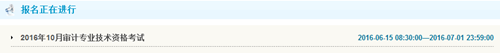 甘肅2016年中級(jí)審計(jì)師考試報(bào)名入口