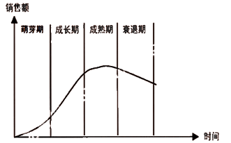 中級(jí)會(huì)計(jì)職稱《財(cái)務(wù)管理》重點(diǎn)：銷售預(yù)測的定性分析法