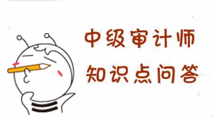 中級審計師《審計專業(yè)相關(guān)知識》答疑精華