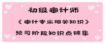 2017年初級審計(jì)師《審計(jì)專業(yè)相關(guān)知識》預(yù)習(xí)階段知識點(diǎn)匯總