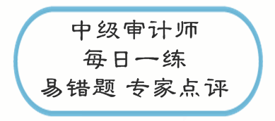 中級(jí)審計(jì)師考試易錯(cuò)題專(zhuān)家點(diǎn)評(píng)