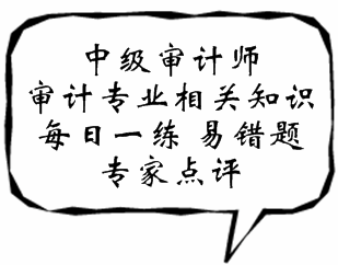 中級審計(jì)師《審計(jì)專業(yè)相關(guān)知識》易錯(cuò)題解析