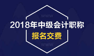 內蒙古2018年中級會計職稱考試網上繳費時間及金額