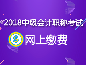 江蘇鎮(zhèn)江2018年中級(jí)會(huì)計(jì)職稱網(wǎng)上繳費(fèi)