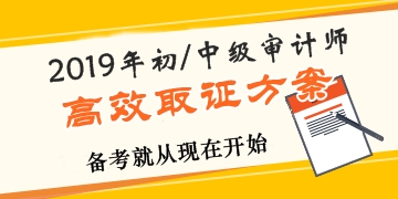 2019年審計(jì)師高效取證招生方案上線 早報(bào)名早學(xué)習(xí)！ 