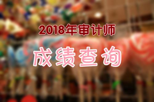 2018年審計專業(yè)技術(shù)初、中級資格成績什么時候可以查詢？