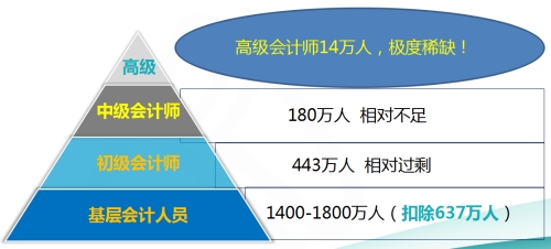 高級會計師季度稀缺