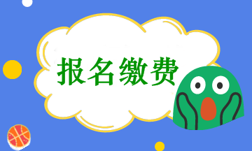 會計(jì)中級考試報(bào)名收費(fèi)是在網(wǎng)上繳費(fèi)嗎？