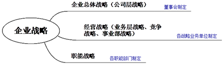 企業(yè)戰(zhàn)略管理的要素、體系與過(guò)程6