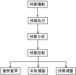 全面預(yù)算執(zhí)行概述