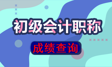 初級(jí)會(huì)計(jì)成績查詢