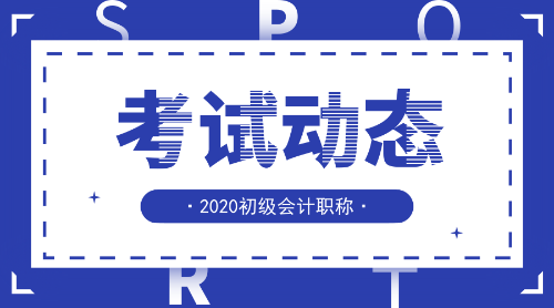 2020年初級(jí)會(huì)計(jì)職稱考試的題型是什么樣子的呢？