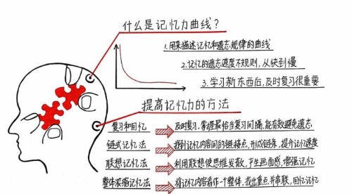 “注會知識點學完就忘怎么辦？如何能提高記憶力？