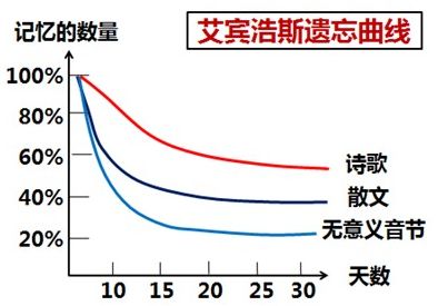 “注會知識點學完就忘怎么辦？如何能提高記憶力？