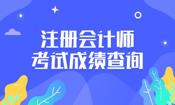 注會(huì)成績查詢