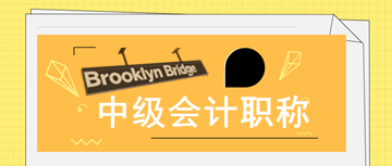 2020年寧夏中級會計師報名審核時需提交哪些資料？