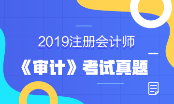 2019年注冊會計師考試《審計》