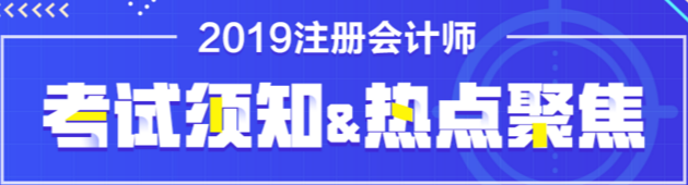 2019注冊會計師考試專題