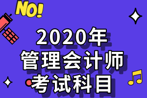 2020年管理會計師考試科目