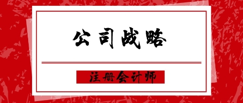 公司戰(zhàn)略練習(xí)題