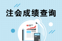 2019年陜西咸陽注冊會計師成績查詢通道什么時候開通？