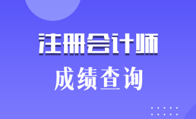 2019陜西銅川注冊(cè)會(huì)計(jì)師成績(jī)查詢(xún)時(shí)間