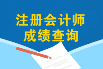 12月能查2019年注會成績嗎？