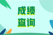 2019中級審計(jì)師考試成績查詢