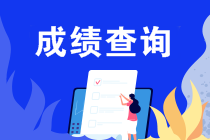 什么條件能申請(qǐng)2019注會(huì)成績(jī)復(fù)核？