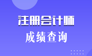 2019海南三亞注會成績什么時候出來？