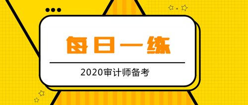 2020審計(jì)師備考