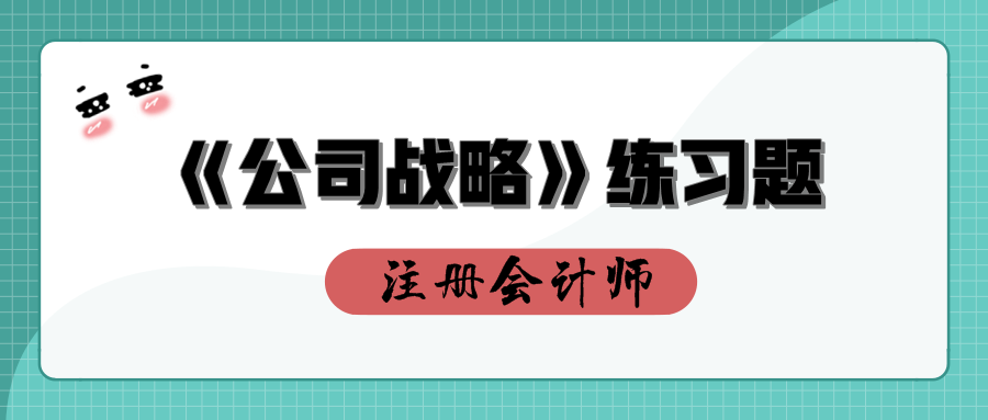 注會公司戰(zhàn)略練習題