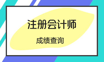 廣東注冊會計師成績查詢時間