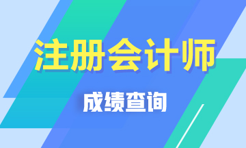 江西2019年注冊會計師成績查詢時間