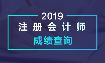 山東2019年注會成績公布時間