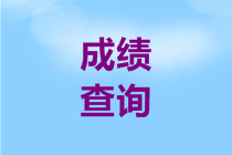 海南2020高級會計師成績查詢時間