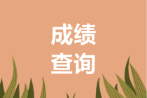 1山西2019高級(jí)會(huì)計(jì)師成績(jī)查詢(xún)步驟