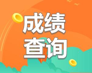 初級(jí)經(jīng)濟(jì)師2019成績(jī)查詢(xún)時(shí)間公布了嗎？