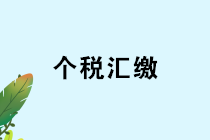 私人賬戶發(fā)工資？個(gè)稅匯算清繳難逃預(yù)警！