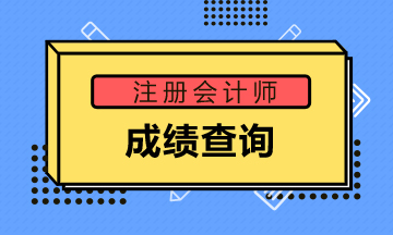 廣東陽(yáng)江2019年注會(huì)成績(jī)查詢