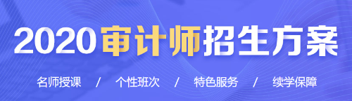 2020審計師招生方案詳情