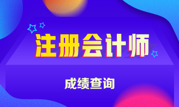 廣西北海注冊會計師成績查詢